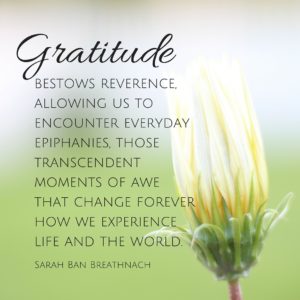 Image result for gratitude simple abundance sarah breathnach quotes