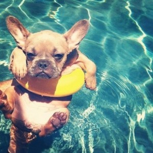 6 Skin Care Tips for the Dog Days of Summer