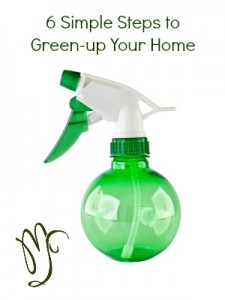6 Simple Ways to Green-up Your Home