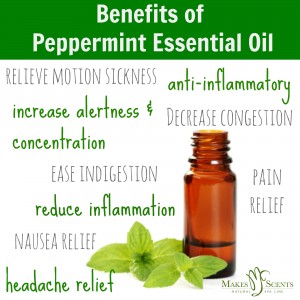 Feel the Scent-sation: 3 Benefits of Peppermint Essential Oil