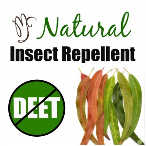 Natural Repellent to Keep Pesky Summer Insects at Bay