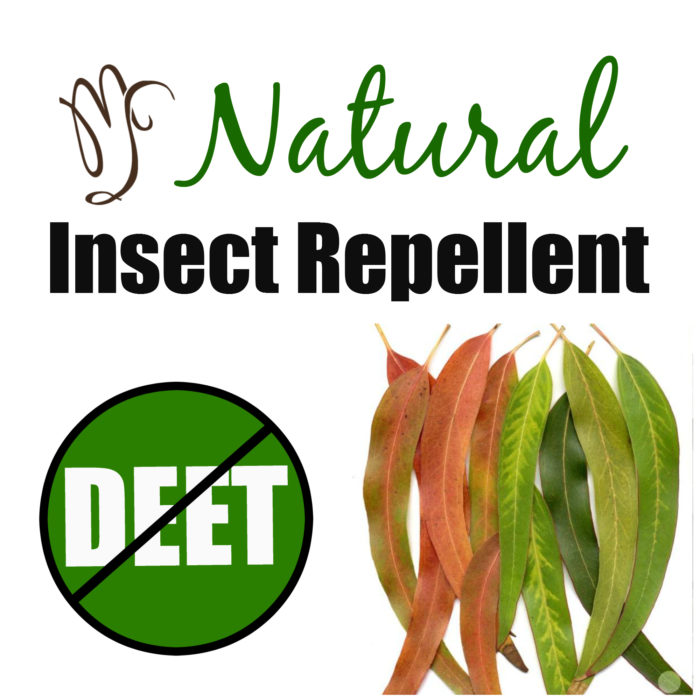 Natural Repellent to Keep Pesky Summer Insects at Bay