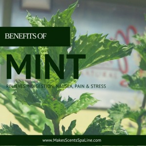 Mint - Makes Scents Natural Spa Line